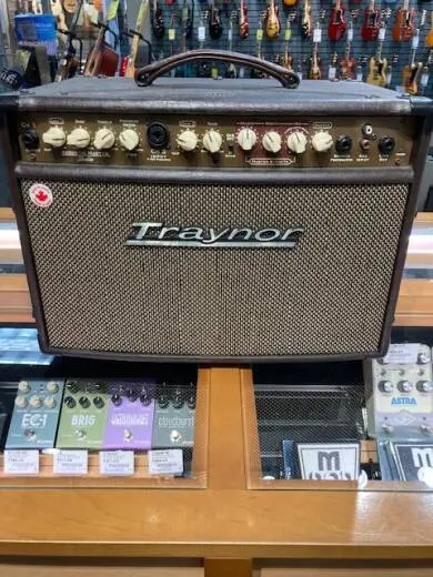Traynor - AMSTUDIO